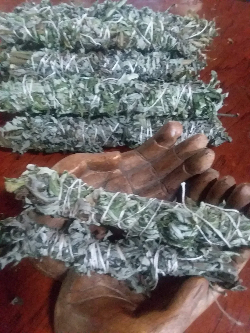 MugWort Fresh Dried Herb